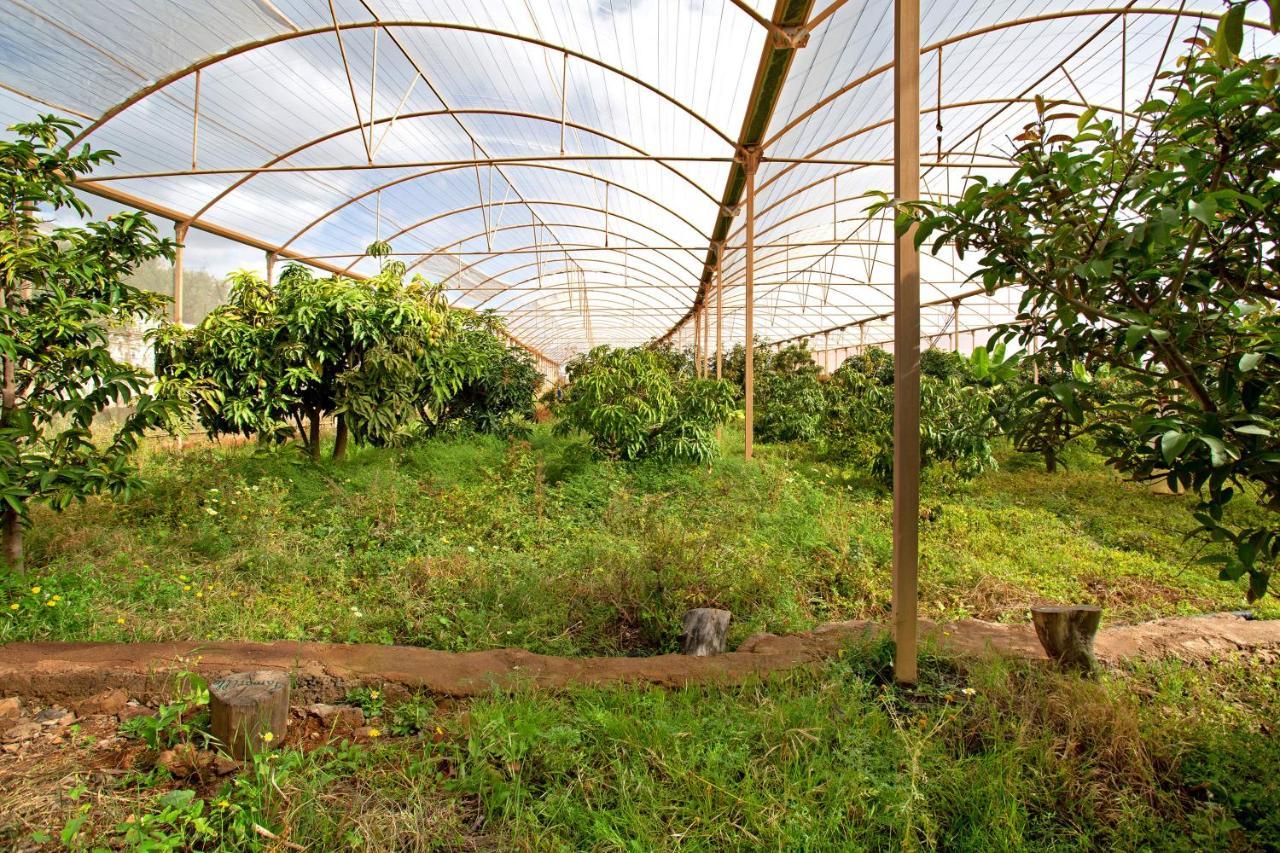 Finca Tropical Ingenio Exterior foto